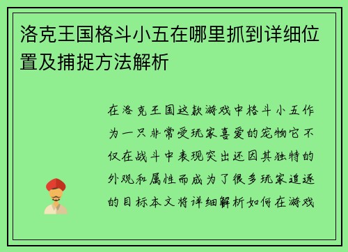 洛克王国格斗小五在哪里抓到详细位置及捕捉方法解析 洛克王国格斗小五在哪里抓到详细位置及捕捉方法解析